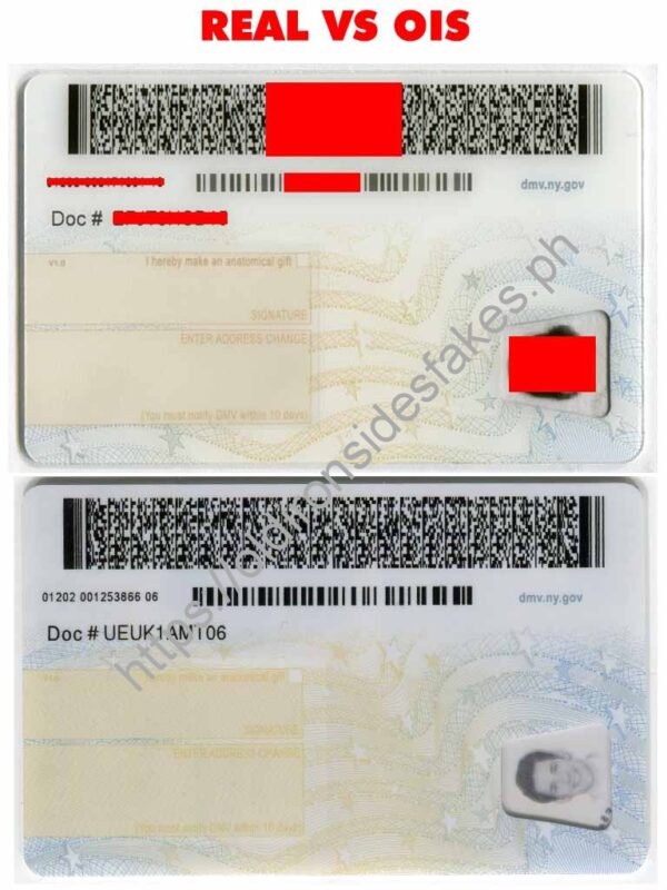 New York Driver License(NY U21) - Image 4