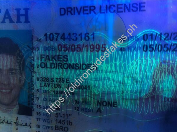 Utah Driver License(UT O21) - Image 2