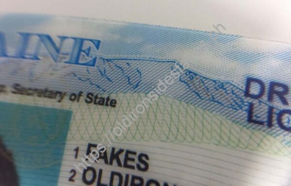 Maine Driver License (Old ME) - Image 4