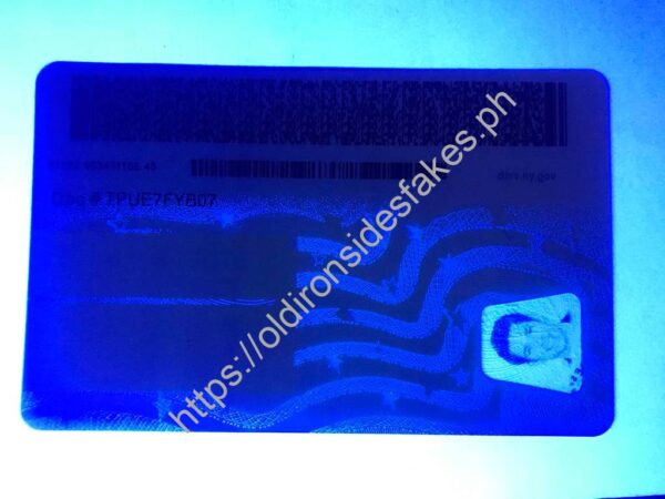 New York Driver License(NY U21) - Image 2