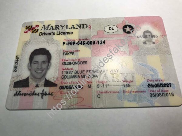 Maryland Driver License (New MD) - Image 5