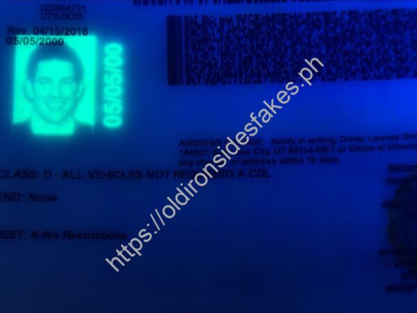 Utah Driver License(UT U21) - Image 2