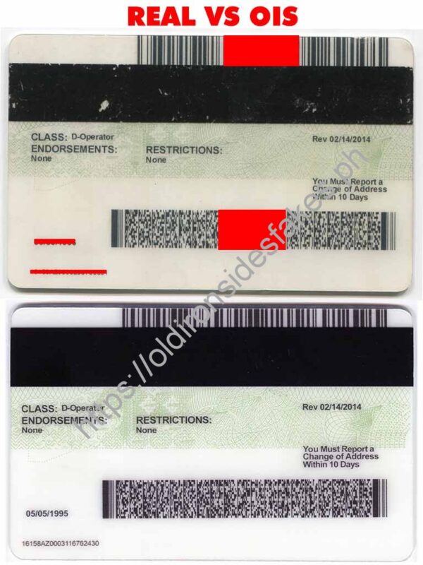 Arizona Driver License(AZ) - Image 4