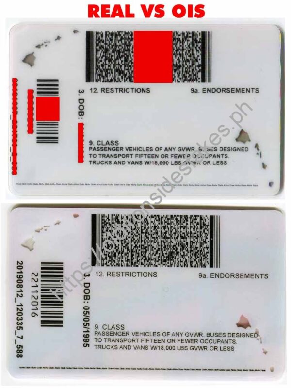 Hawaii Driver License(HI) - Image 3