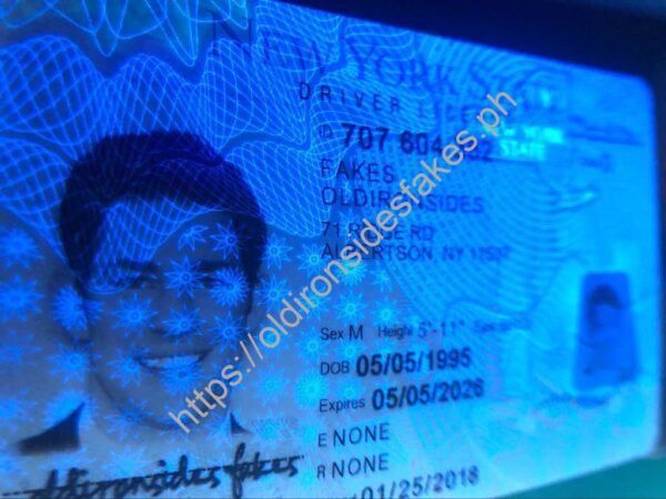 New York Driver License(NY O21 V3) - Image 2