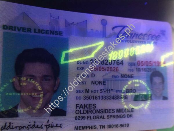 Tennessee Driver License(TN O21) - Image 3