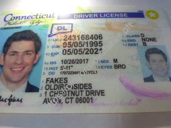 Connecticut Driver License(New CT) - Image 3