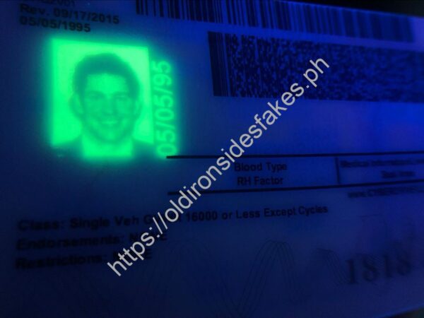 Illinois Driver License(New IL) - Image 2