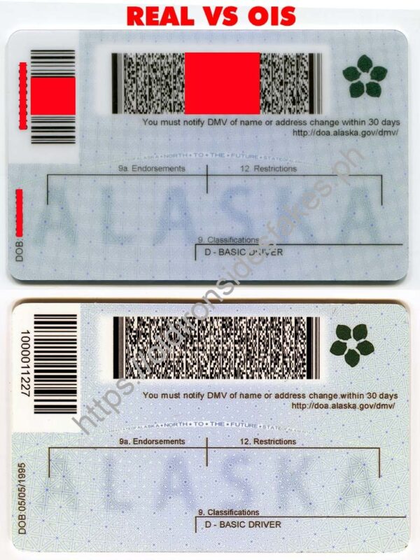 Alaska Driver License(AK) - Image 6