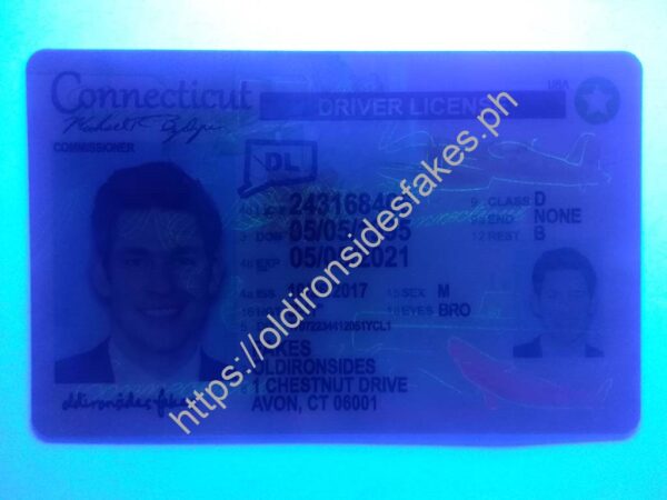 Connecticut Driver License(New CT) - Image 2