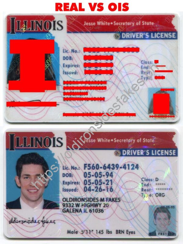 Illinois Driver License(Old IL)