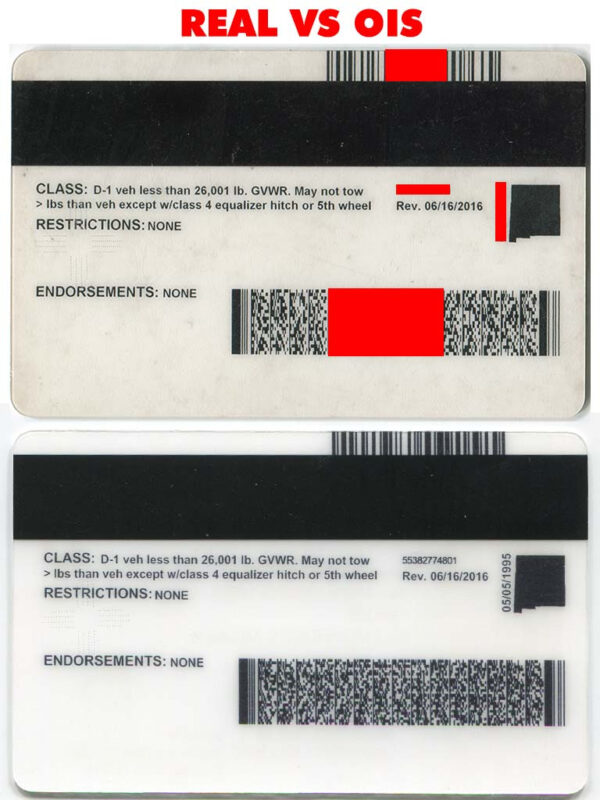 New Mexico Driver License (NM) - Image 5