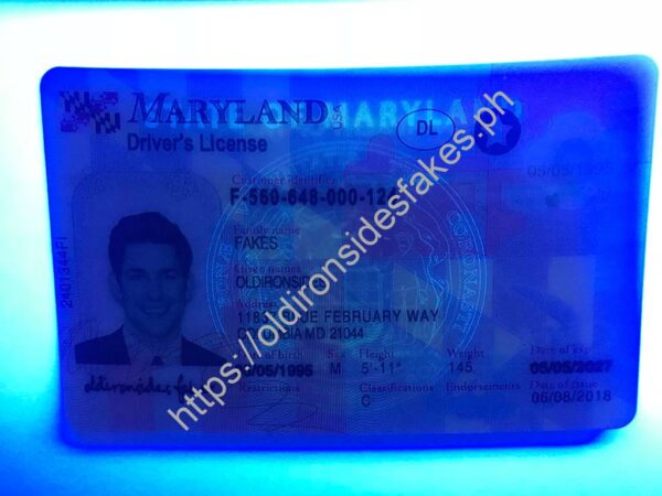 Maryland Driver License (New MD) - Image 3