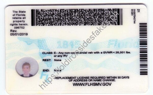 Florida Driver License(New FL O21 V2) - Image 2