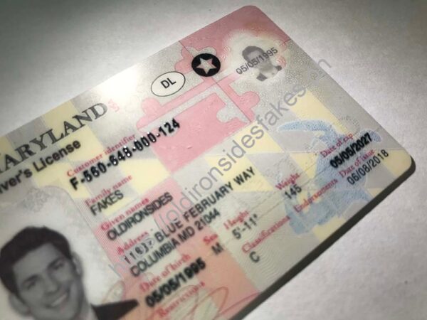 Maryland Driver License (New MD) - Image 4