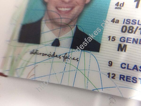 Maine Driver License (Old ME) - Image 5