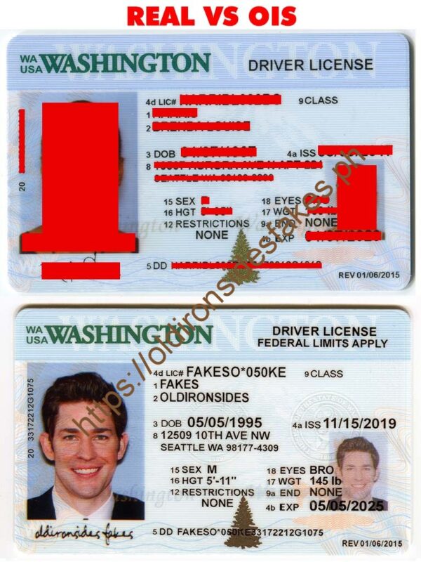 Washington Driver License(New WA)