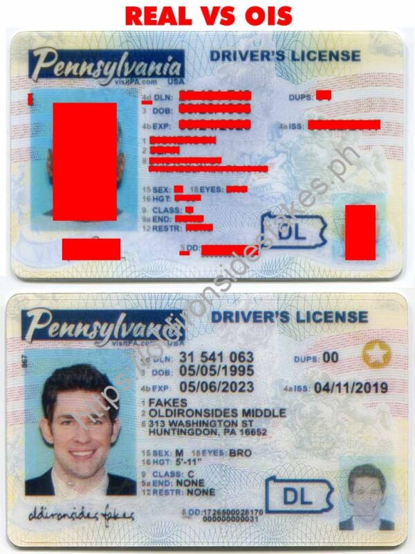 Pennsylvania Driver License(New PA O21)