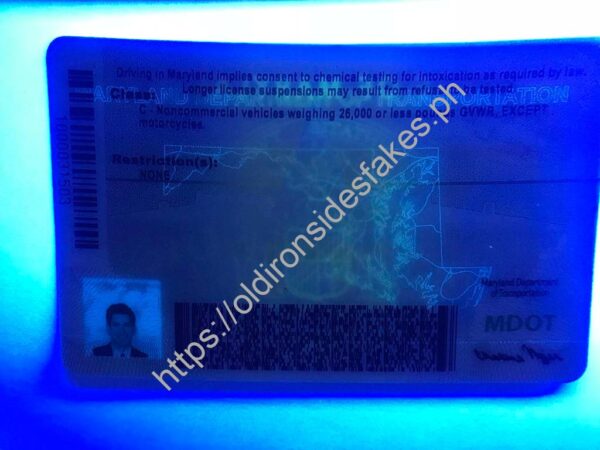 Maryland Driver License (New MD) - Image 2