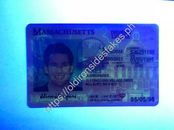 Massachusetts Driver License (New MA O21) - Image 2
