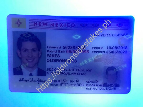 New Mexico Driver License (NM) - Image 2