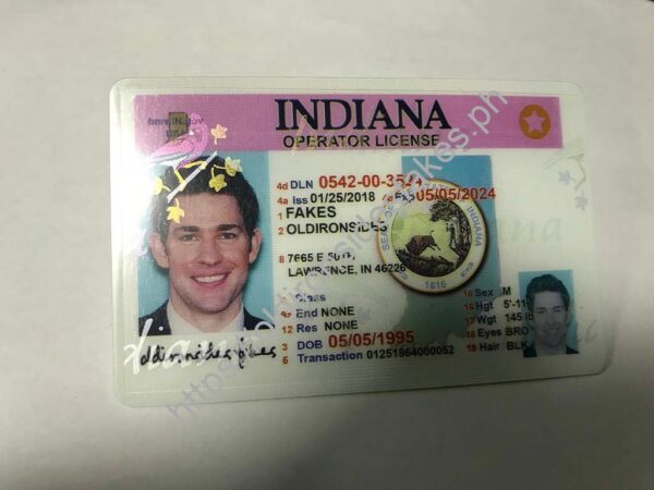 Indiana Driver License(Old IN) - Image 3