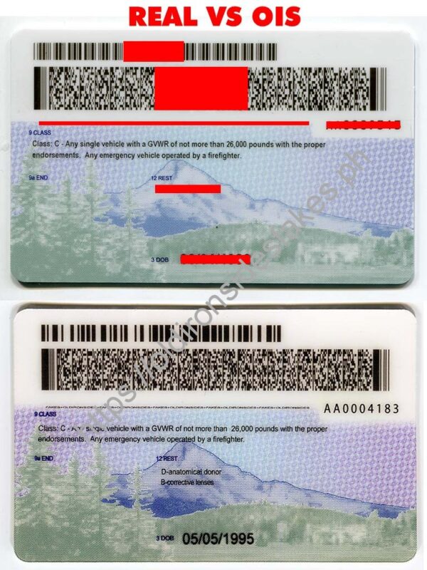 Oregon Driver License(New OR) - Image 2