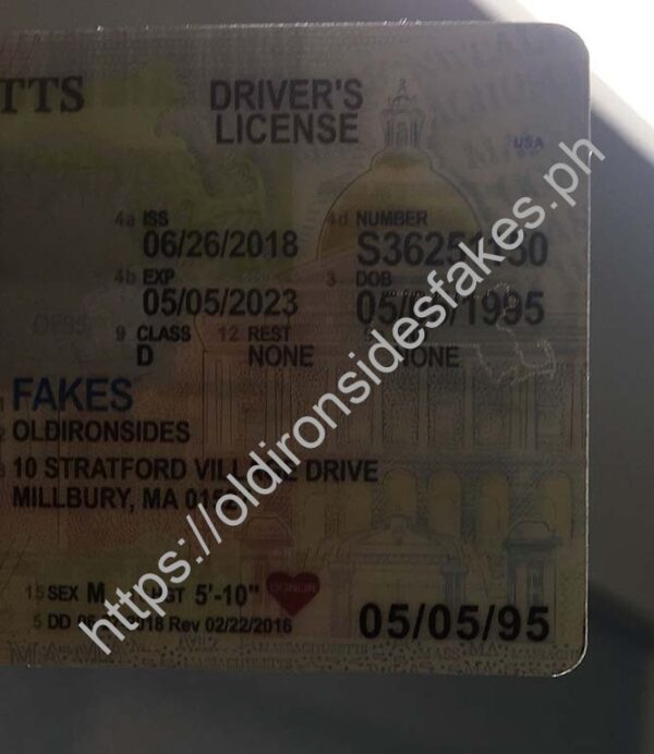 Massachusetts Driver License (New MA O21) - Image 3