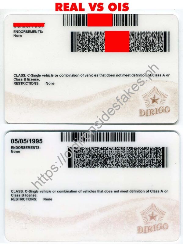 Maine Driver License (New ME) - Image 3