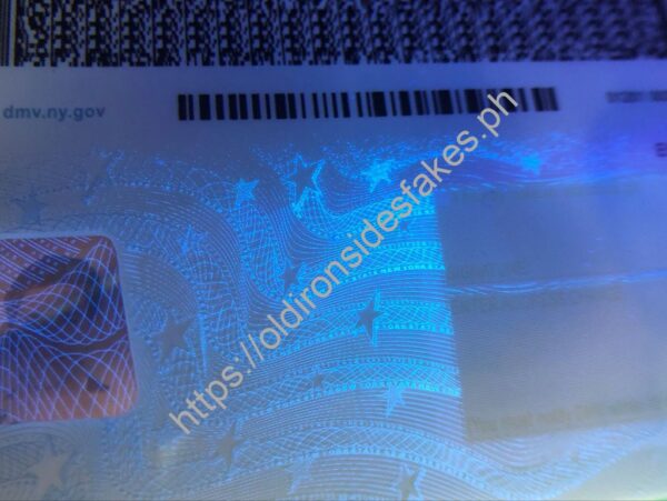 New York Driver License(NY O21 V3) - Image 3