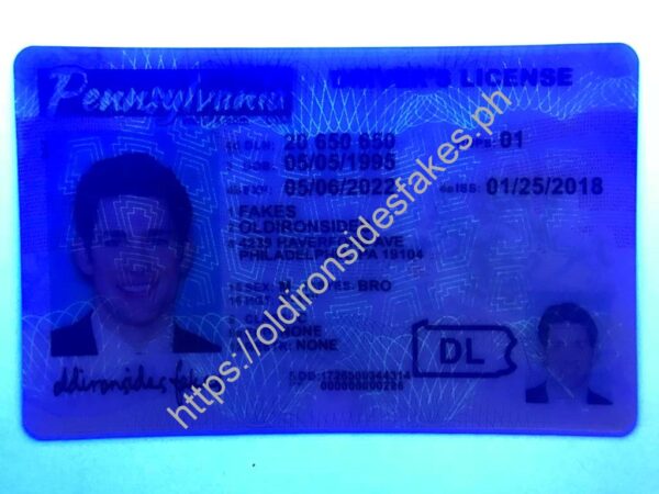 Pennsylvania Driver License(New PA O21) - Image 3