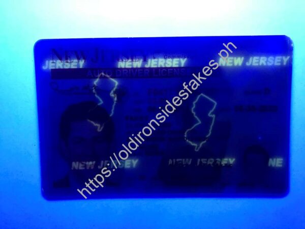 New Jersey Driver License (NJ) - Image 2
