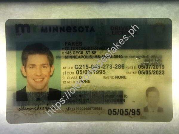 Minnesota Driver License (New MN) - Image 3