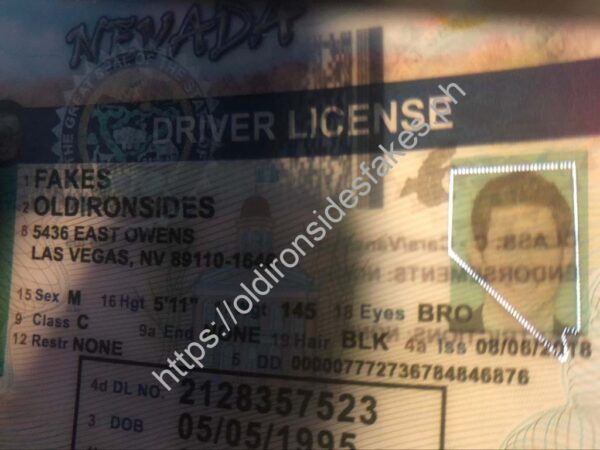 Nevada Driver License (NV) - Image 4