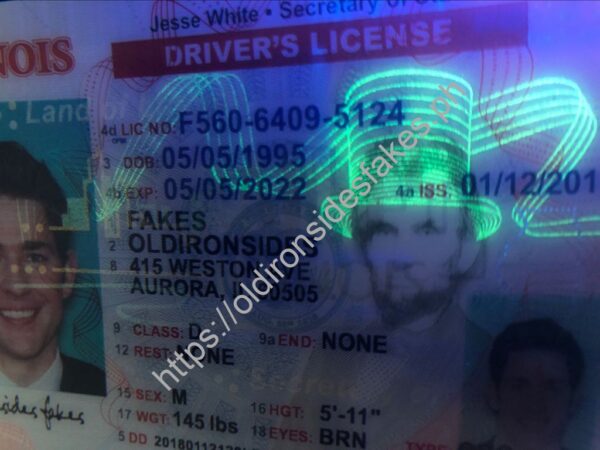 Illinois Driver License(New IL) - Image 3