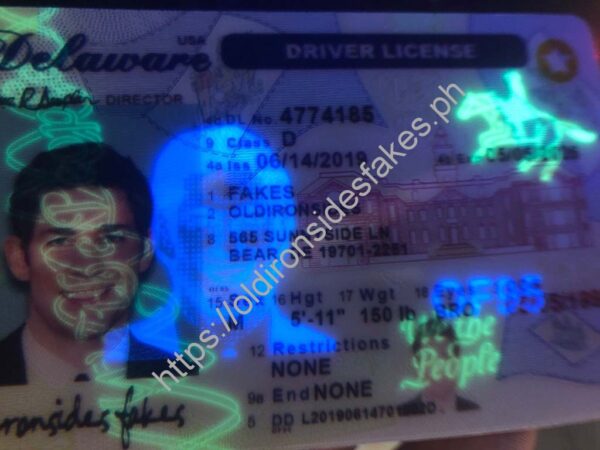 Delaware Driver License(New DE O21) - Image 2