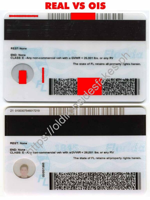 Florida Driver License(New FL O21 V1) - Image 5