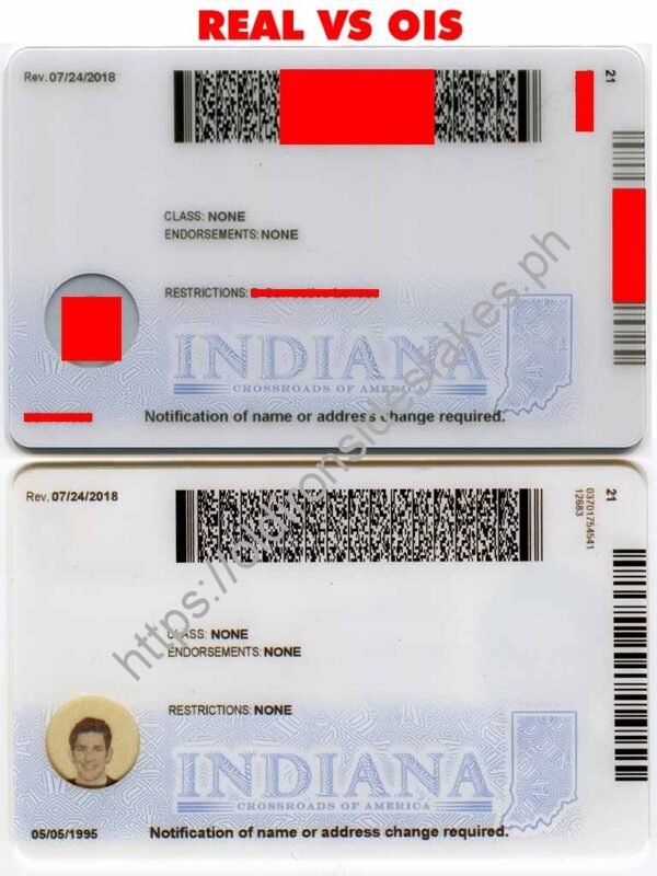 Indiana Driver License(New IN) - Image 2