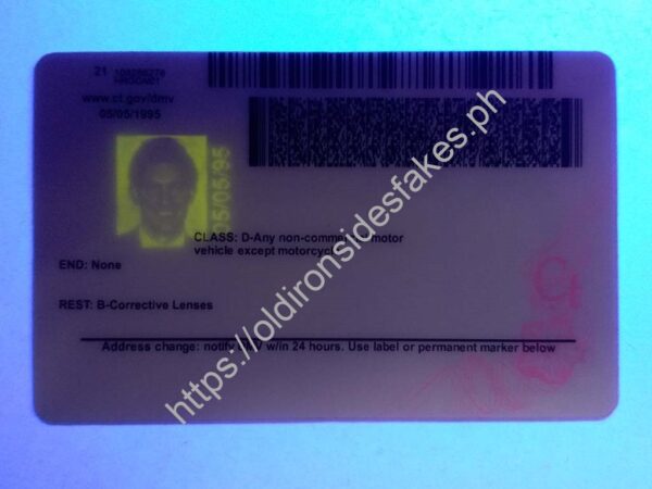 Connecticut Driver License(New CT) - Image 4