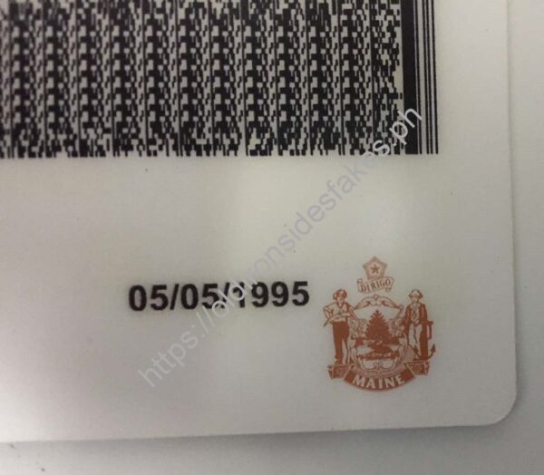 Maine Driver License (Old ME) - Image 3
