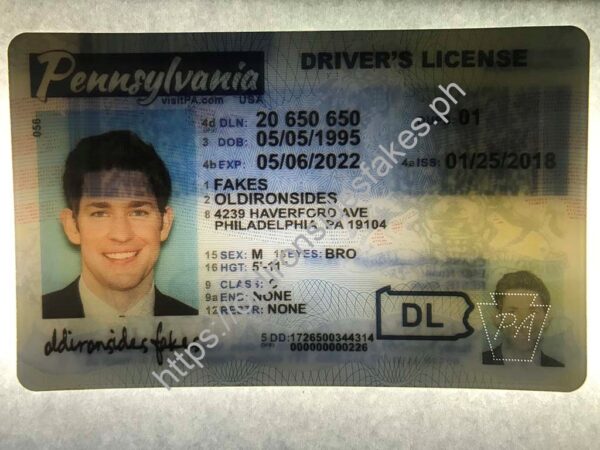 Pennsylvania Driver License(New PA O21) - Image 2