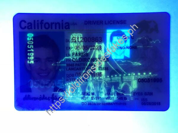 California Driver License(New CA O21) - Image 2