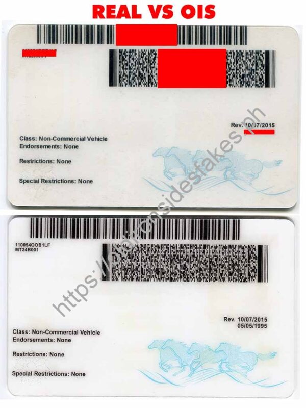 Montana Driver License (MT) - Image 2