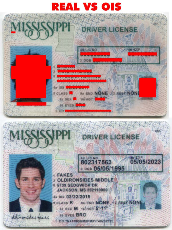 Mississippi Driver License (MS O21)