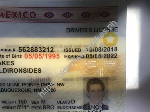 New Mexico Driver License (NM) - Image 3